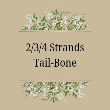 (2/3/4) Strands: Tailbone