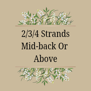 (2/3/4) Strands: Mid-Back or Above